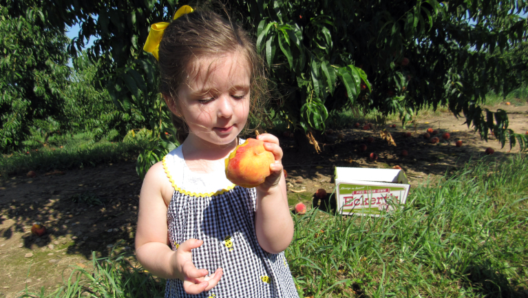Celebrating National Agriculture Week in Downstate Illinois